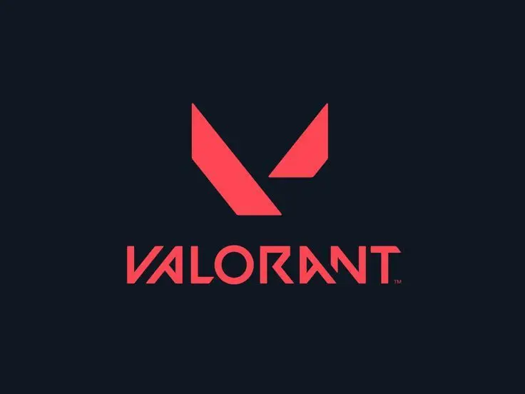 Valorant VP 7300 Turkey